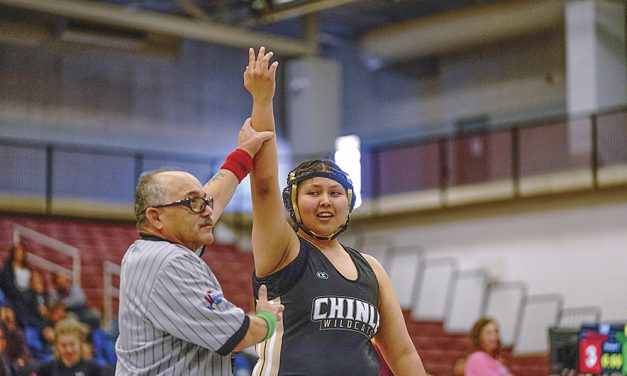 Chinle sending three grapplers to state