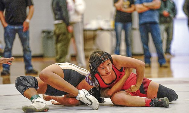 Sectional champs: Alchesay, Blue Ridge, Red Mesa grapplers capture titles