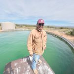 Federal transfer delays leave Padres Mesa cattle unsold, ranch hands unpaid