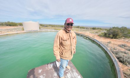 Federal transfer delays leave Padres Mesa cattle unsold, ranch hands unpaid