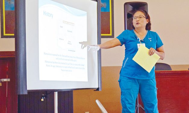 Tséhootsooí doctor says cruise outbreak differs from local hantavirus