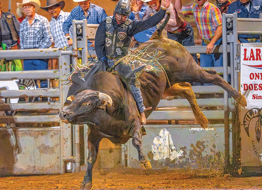Wild Thing ready to ‘rock and roll’ with annual bull riding
