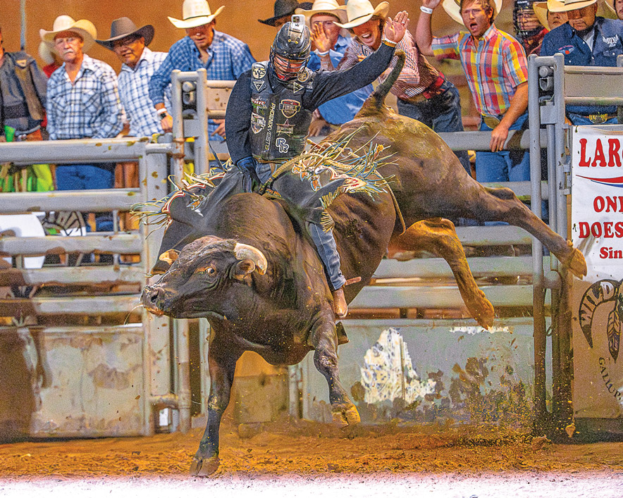 Wild Thing ready to ‘rock and roll’ with annual bull riding